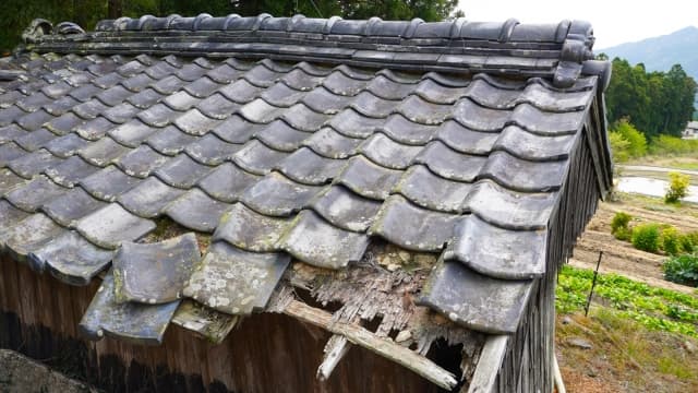 実家の雨漏りを放置するとどうなるか