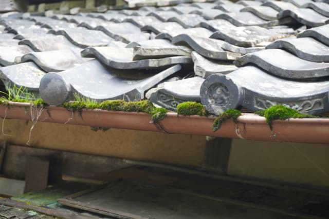 実家の雨漏りの原因