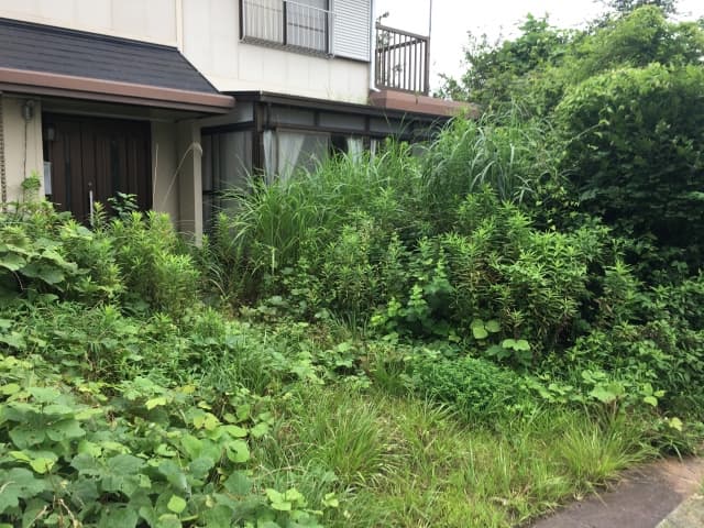 空き家の草刈り